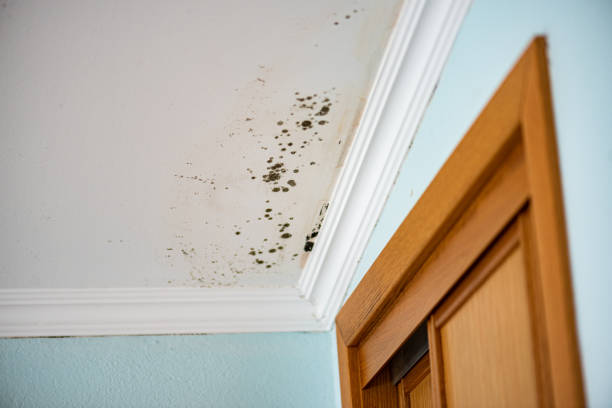 Water Damage Restoration in Rossville, TN
