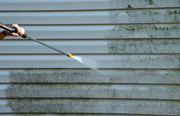 Best Residential Mold Removal  in Rossville, TN